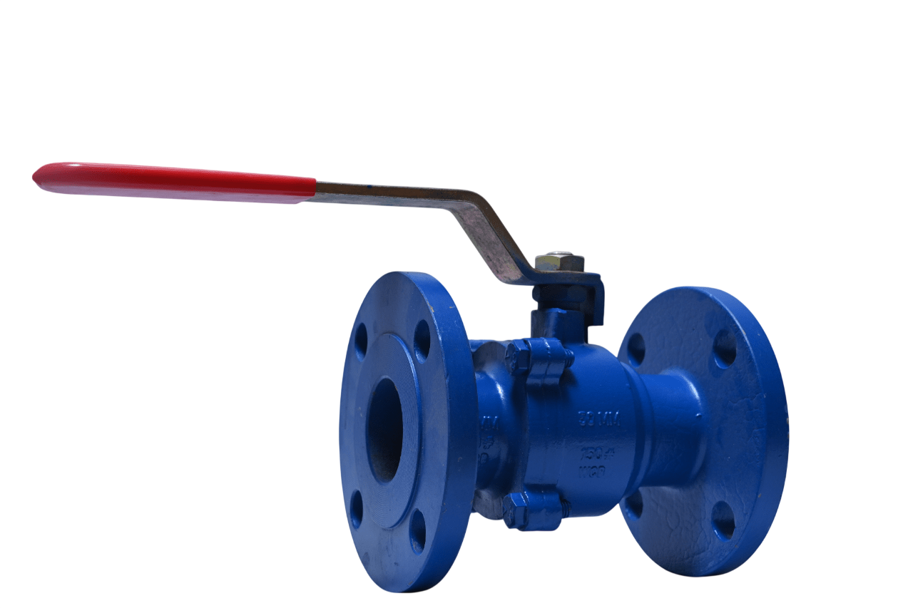 CI 2Pc Flanged Valve